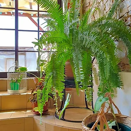 Sunlight House Hotel